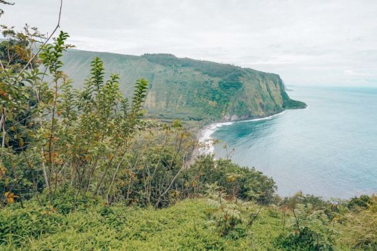 Picture of ETH - 2023 ALAKA'I Workshop - Hilo and Kona Conferences Combined - Student and Kama'aina
